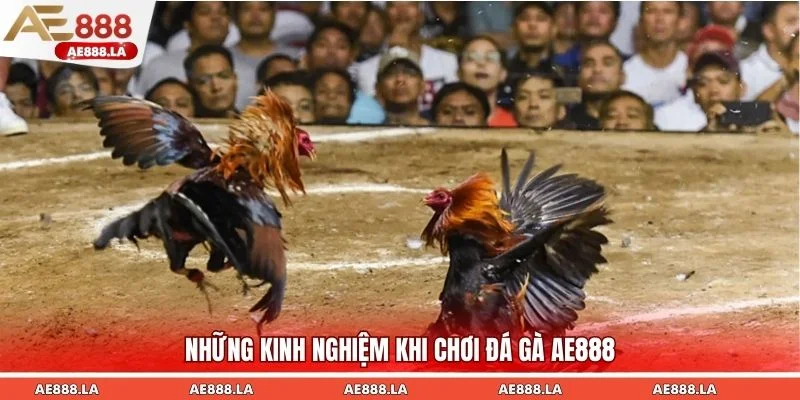 Bạn phải giữ vững lập trường, đừng để đánh mất mình