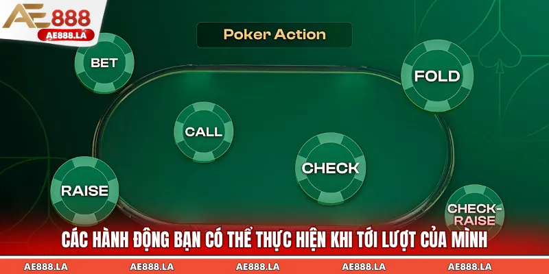 Các hành động bạn có thể thực hiện khi tới lượt của mình