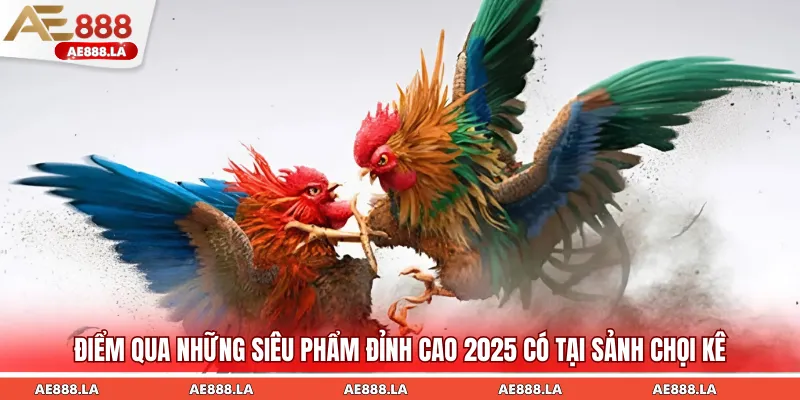 Các siêu phẩm chọi gà RCB mang đến trải nghiệm giải trí mới mẻ