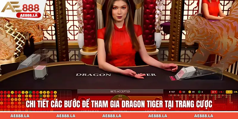 Chi tiết các bước để tham gia Dragon Tiger tại trang cược