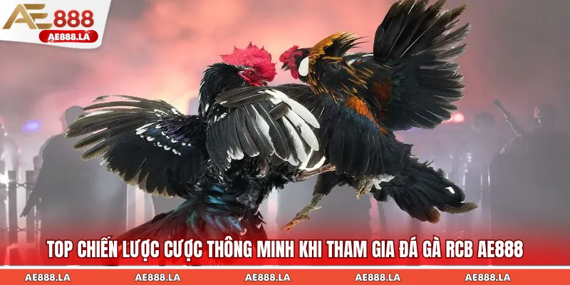 Chiến thuật cược thông minh hiệu quả newbie cần xem kỹ qua