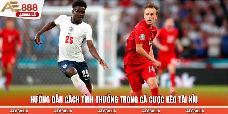 Chủ động nắm rõ cách tính thưởng khi tham gia xuống tiền cược