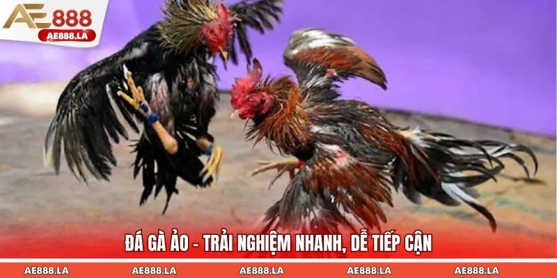Đá gà ảo - Trải nghiệm nhanh, dễ tiếp cận