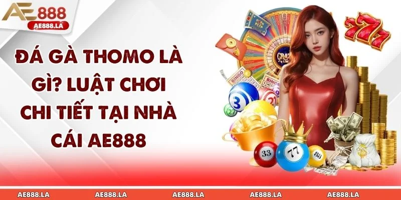 Đá Gà Thomo Là Gì