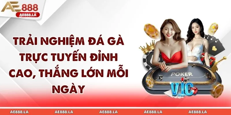 Đá Gà Trực Tuyến