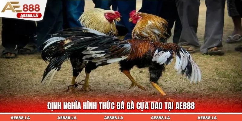Định nghĩa hình thức đá gà cựa dao tại AE888