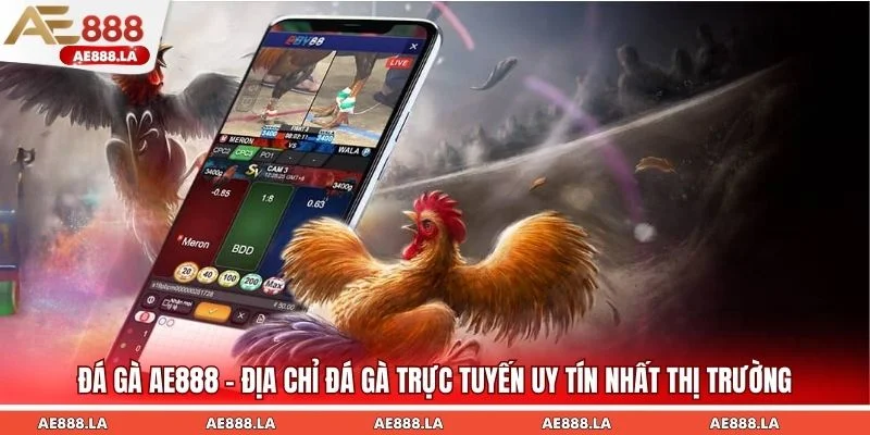 Đá gà AE888 vẫn ghi được dấu ấn và có vị thế vững chắc