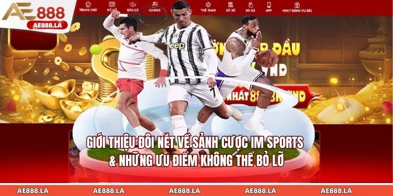 Giới thiệu đôi nét về sảnh cược IM SPORTS & những ưu điểm không thể bỏ lỡ