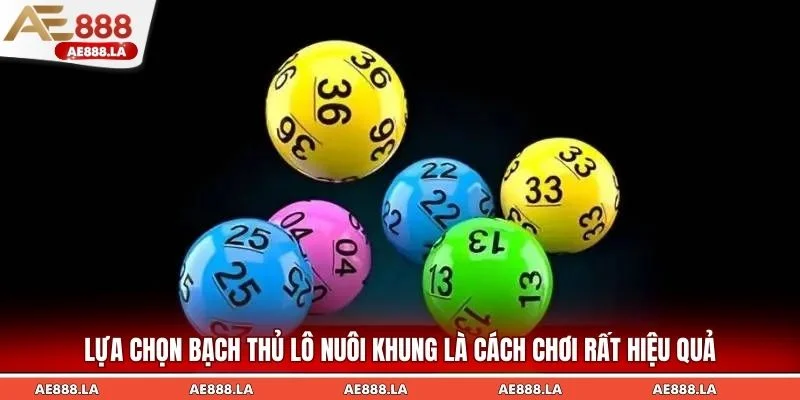 Lựa chọn bạch thủ lô nuôi khung là cách chơi rất hiệu quả