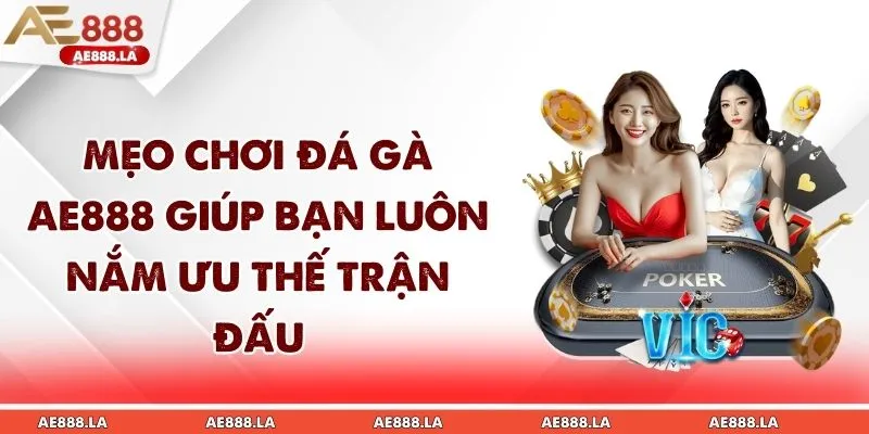 Mẹo Chơi Đá Gà