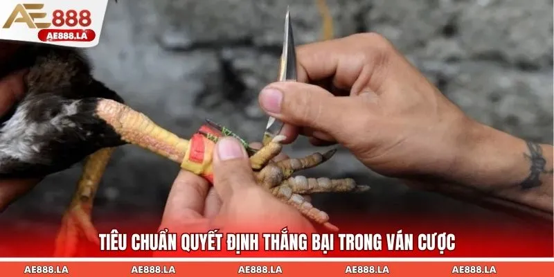 Tiêu chuẩn quyết định thắng bại trong ván cược