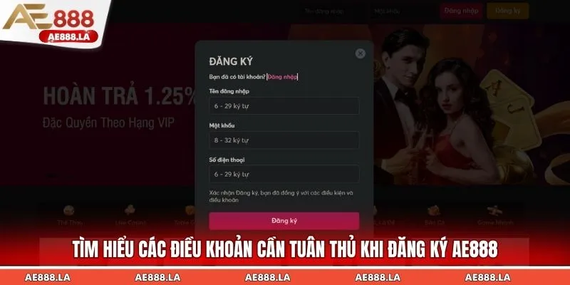 Tìm hiểu các điều khoản cần tuân thủ khi đăng ký AE888