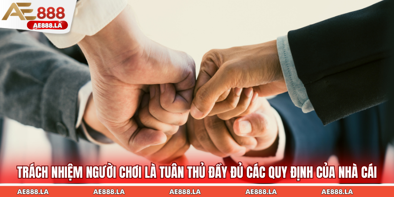 Trách nhiệm người chơi là tuân thủ đầy đủ các quy định của nhà cái