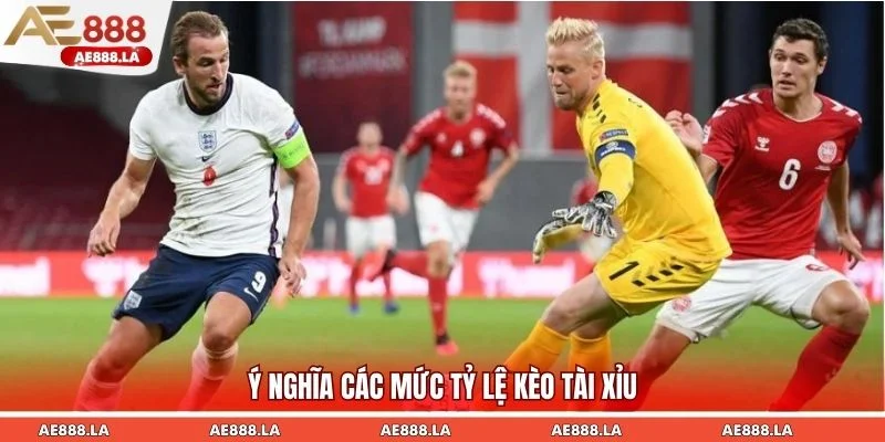 Tùy theo từng trận đấu và thời gian cược mà nhà cái sẽ đưa ra mức tỷ lệ khác nhau